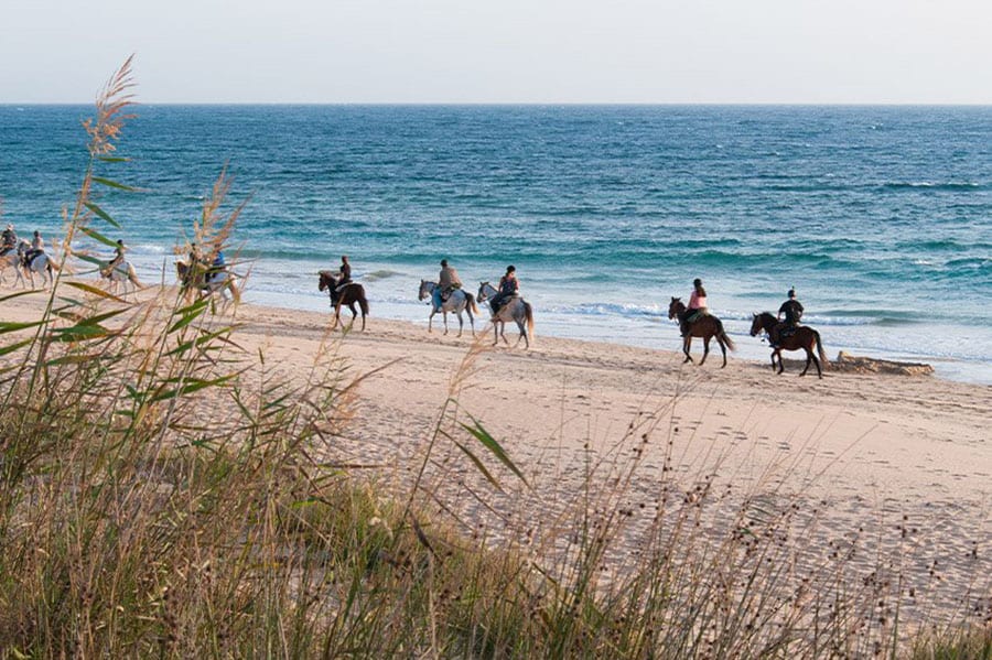 Punta Falconera Camping & Village